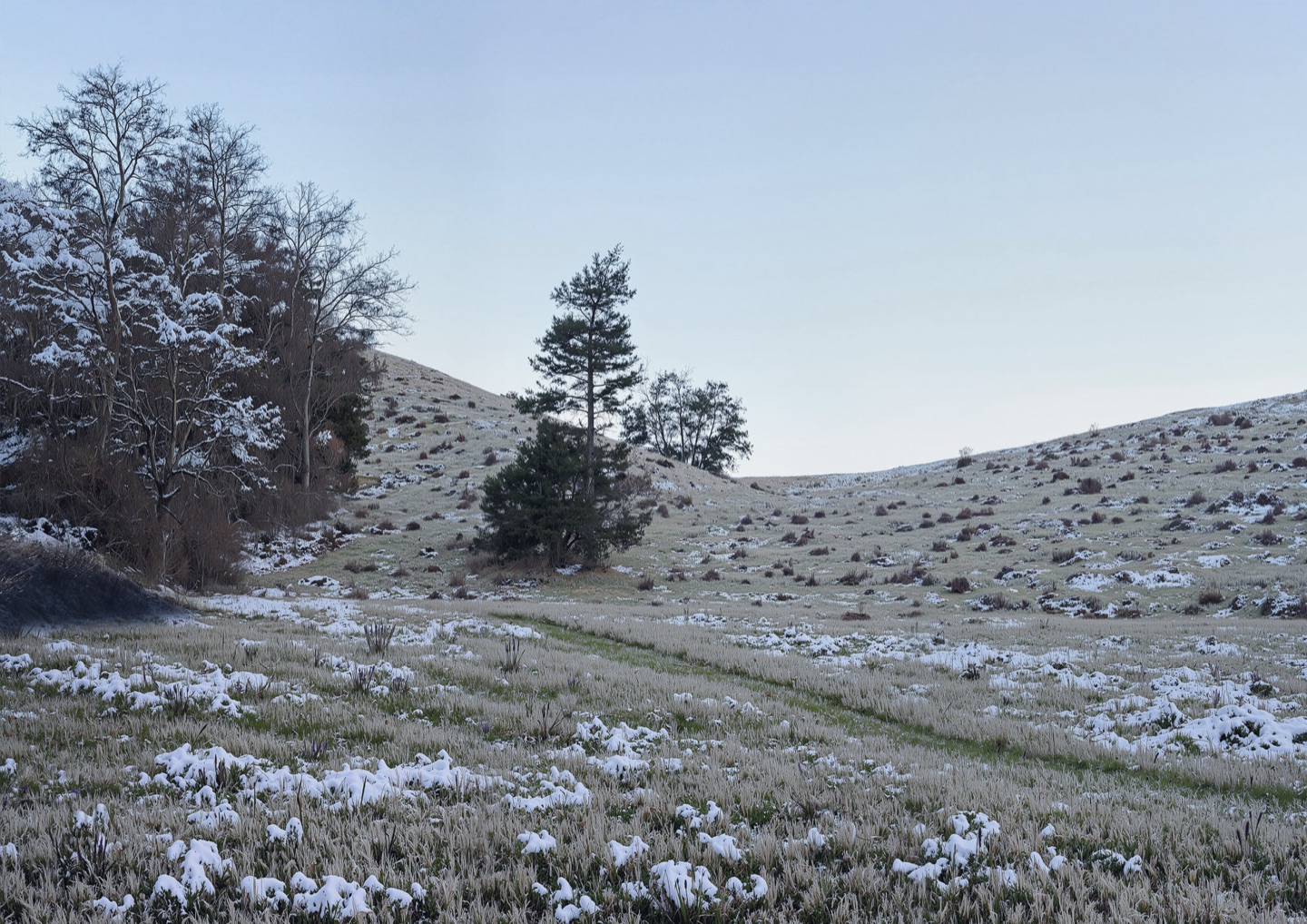 landscape render of the Sorø Støjvold noise barrier planting through the seasons